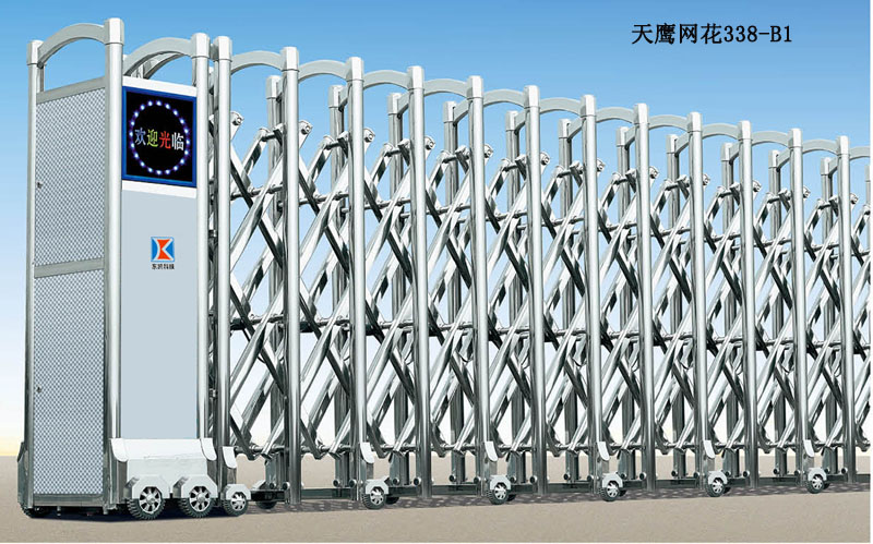 天鷹網(wǎng)花-2