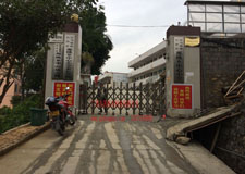 巴馬那桃鄉(xiāng)中心小學電動門