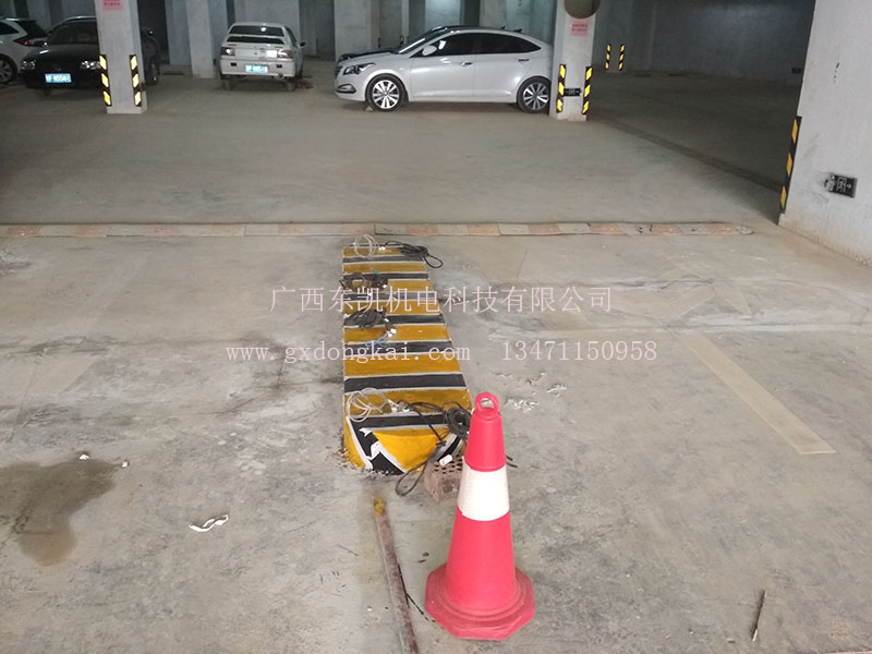 大新縣小區(qū)停車(chē)場(chǎng)系統(tǒng)-1